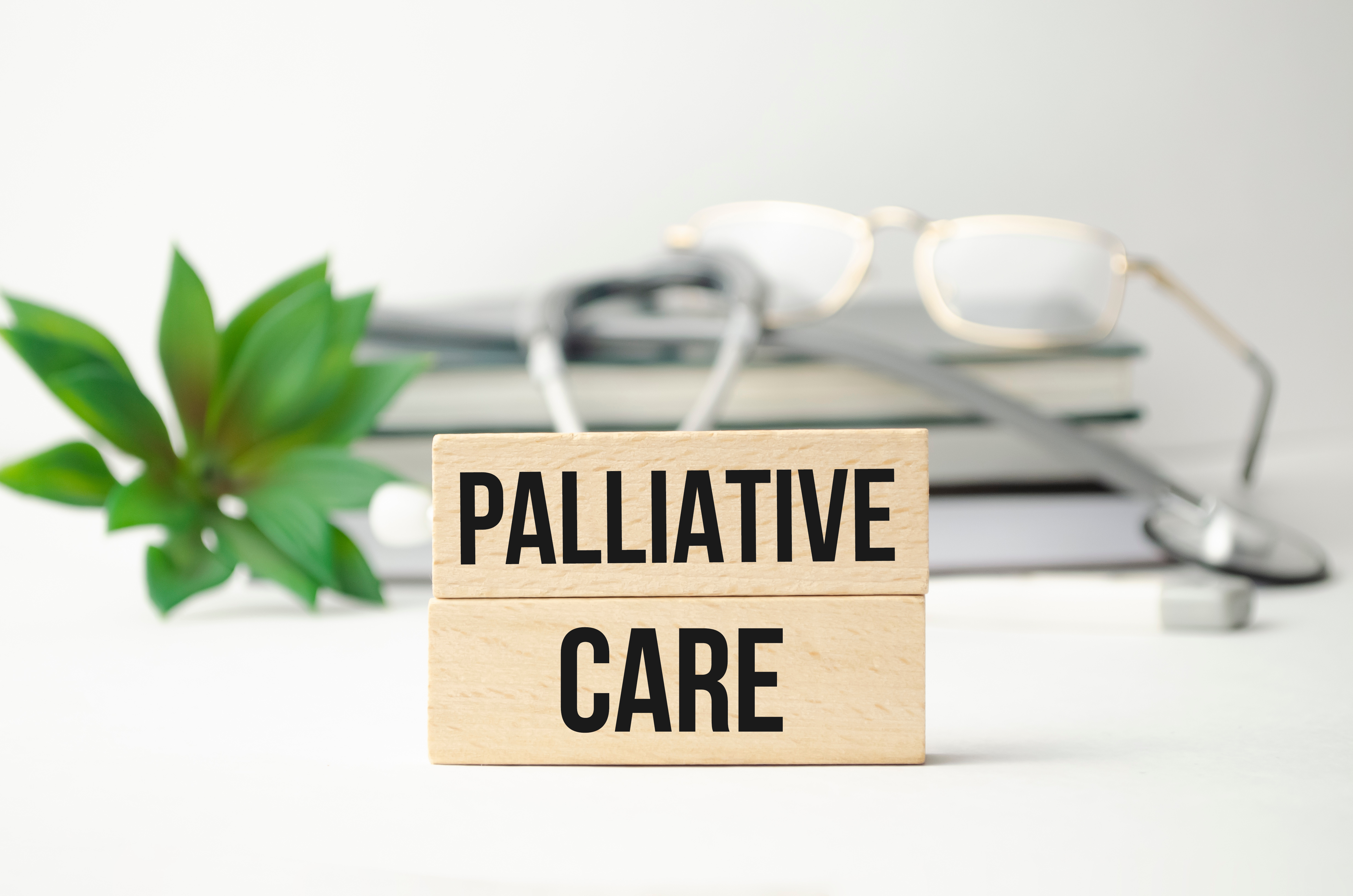 Holzblock mit Aufschrift „Palliative Care“ auf Schreibtisch, Symbol für medizinische Betreuung, Lebensqualität und Unterstützung in der Pflege