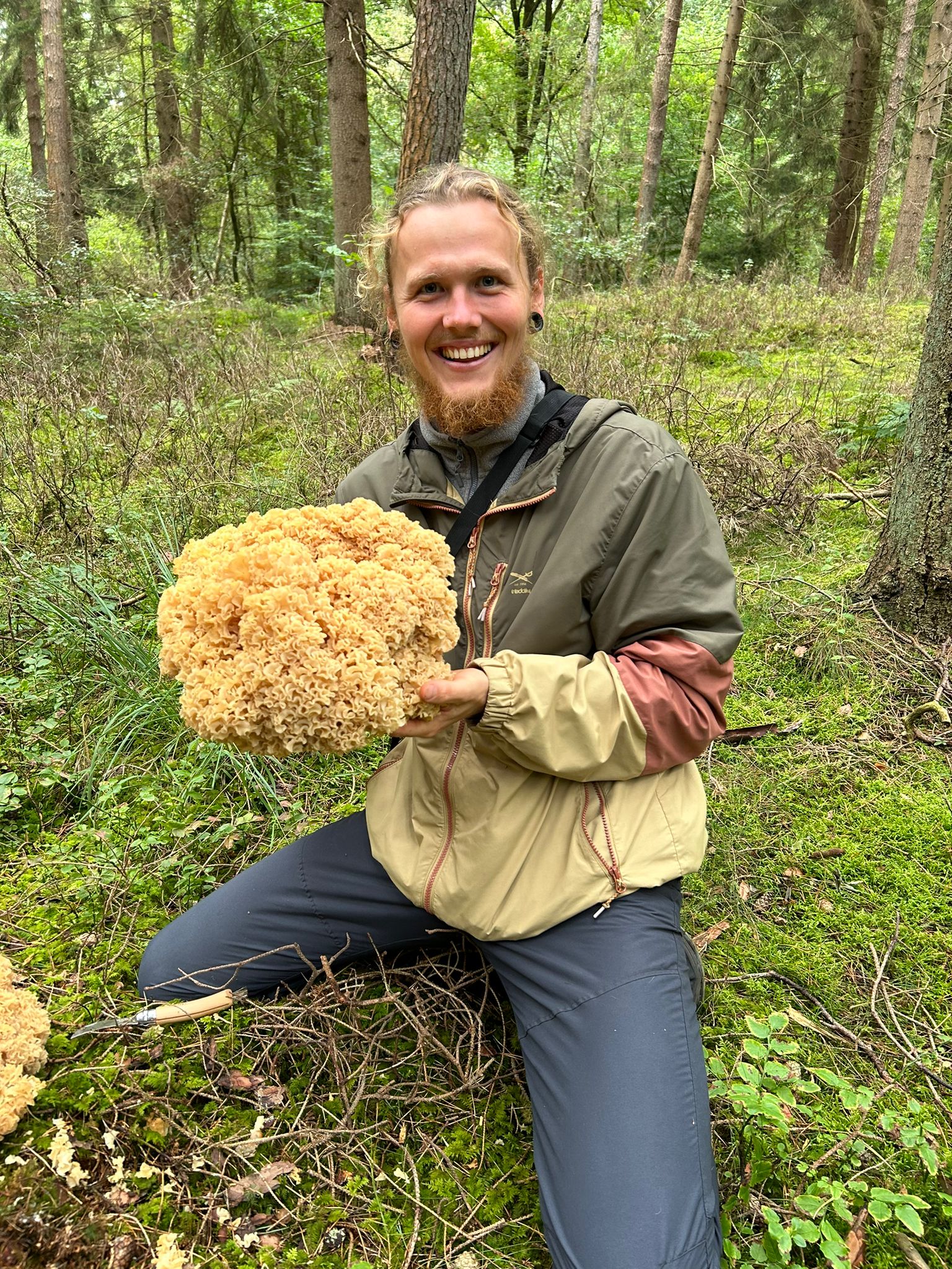 Pilz-Wochenend-Intensiv-Kurs