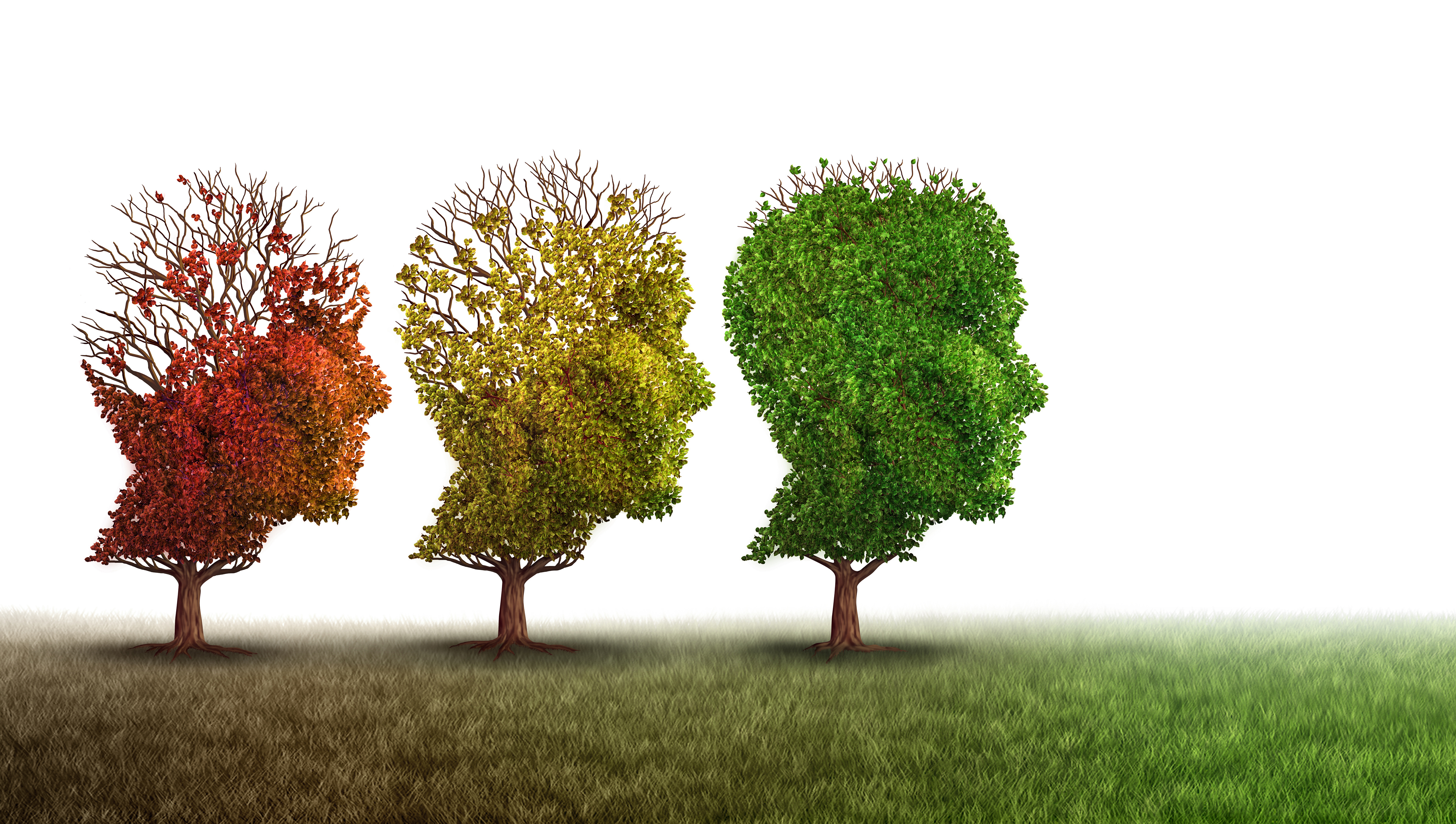 Alternative Methoden zur Schmerzbekämpfung in der palliativen Versorgung