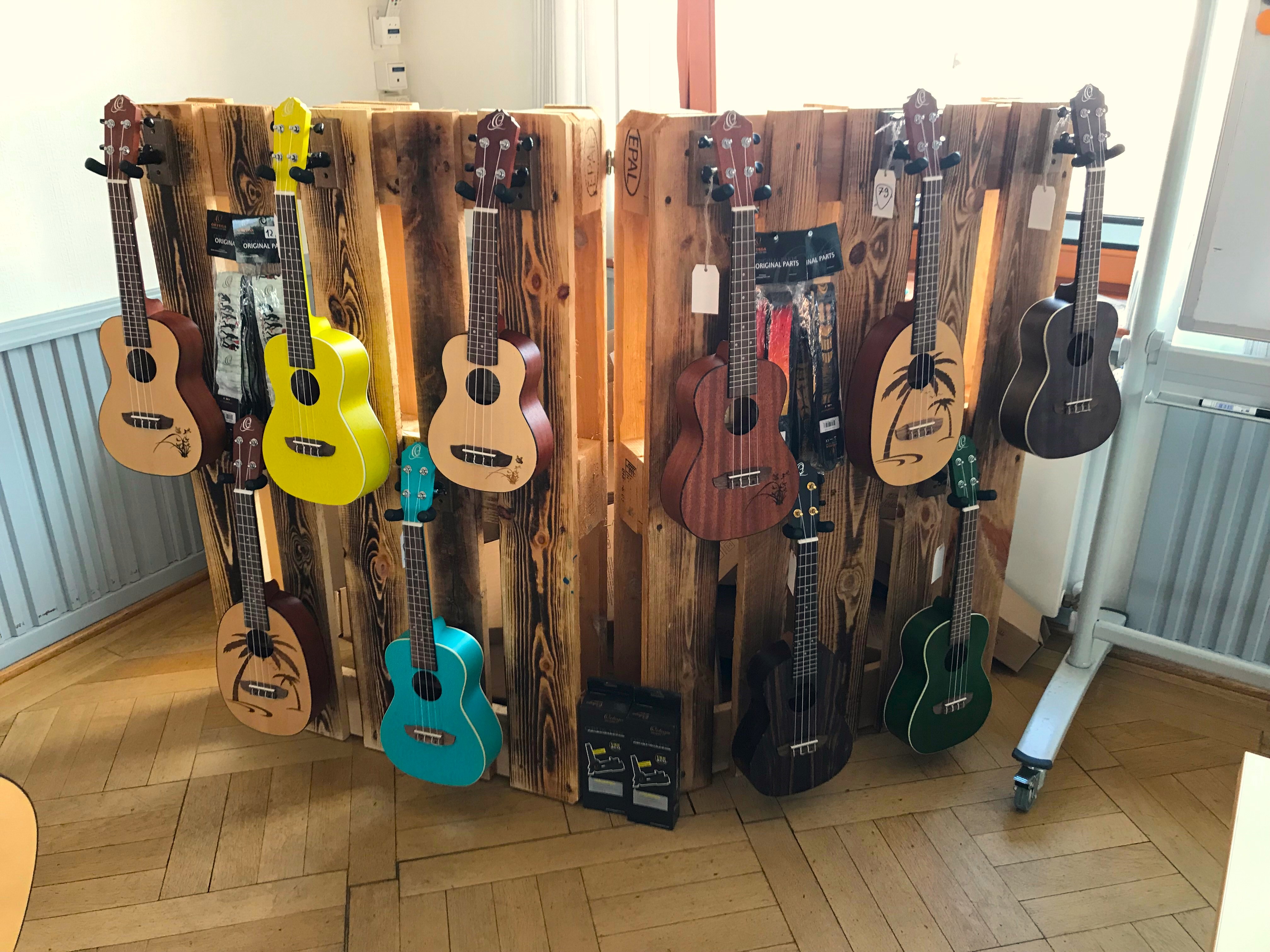 Ukulele für Anfänger:innen ab 16 Jahren