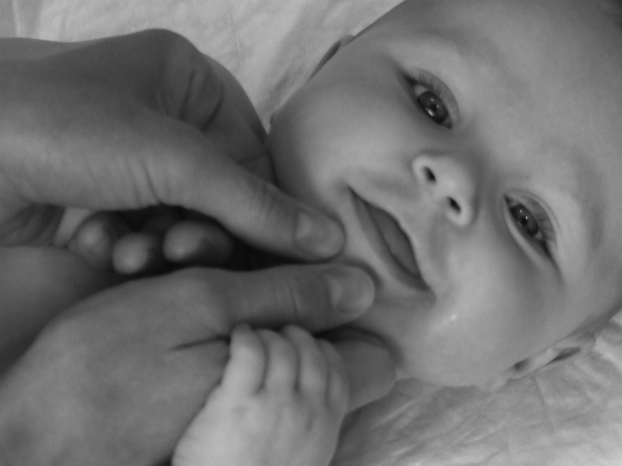 PARENS ® - Anfängerkurs