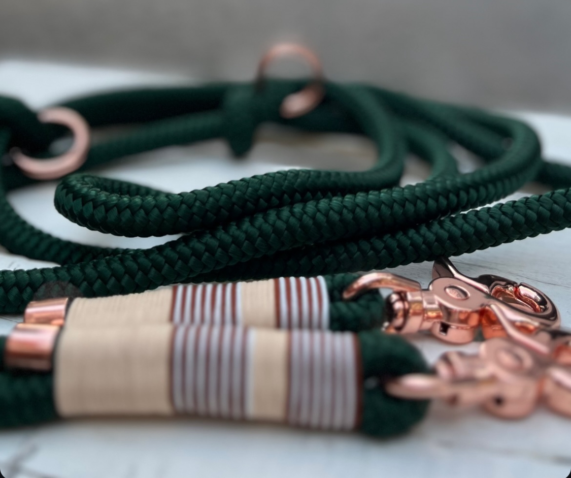 Hundeleinen-Workshop