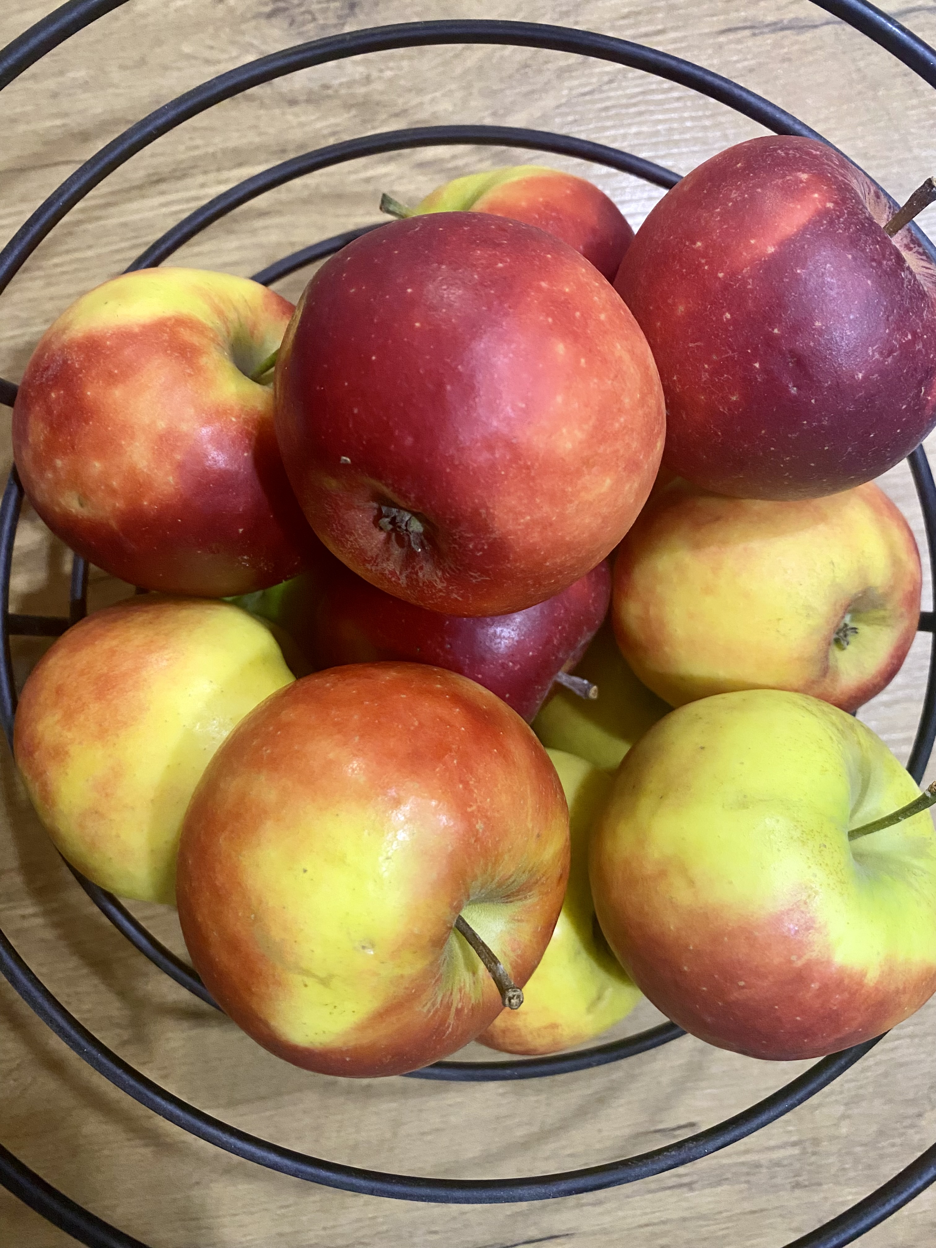 Mein gesunder Apfelbaum - Pflege, Schnitt, Ernte und Genuss: einen Apfelbaum durch das Jahr begleiten