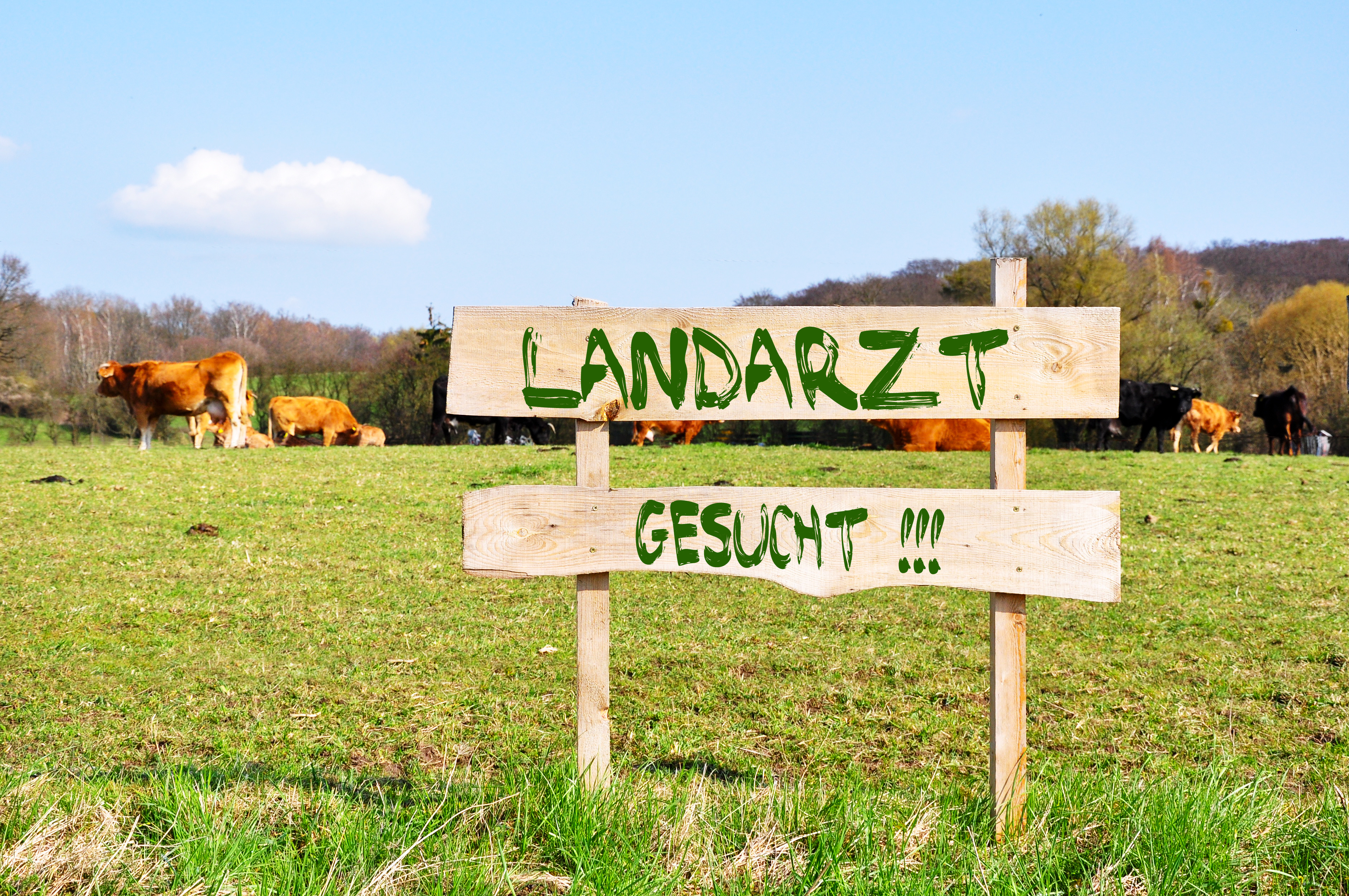 Politischer Themenabend - Medizinische Versorgung auf dem Land